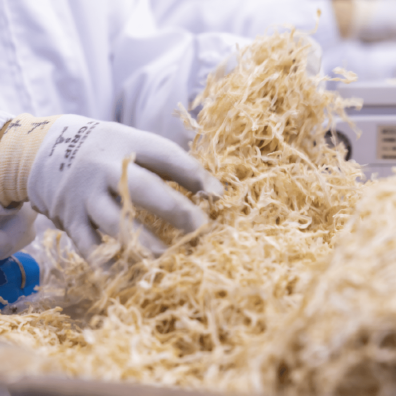 手袋をつけた作業員が作業する様子。