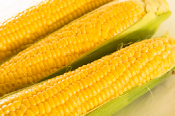 スィートコーン